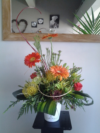 arrangement in pot10 r300