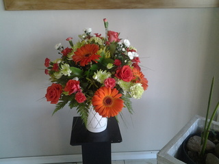 arrangement in pot11 r300