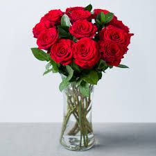 red rose vase red rose vase